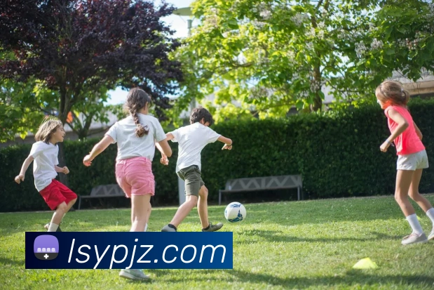 米兰平台生态图